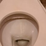 изображение_viber_2021-03-31_10-03-53